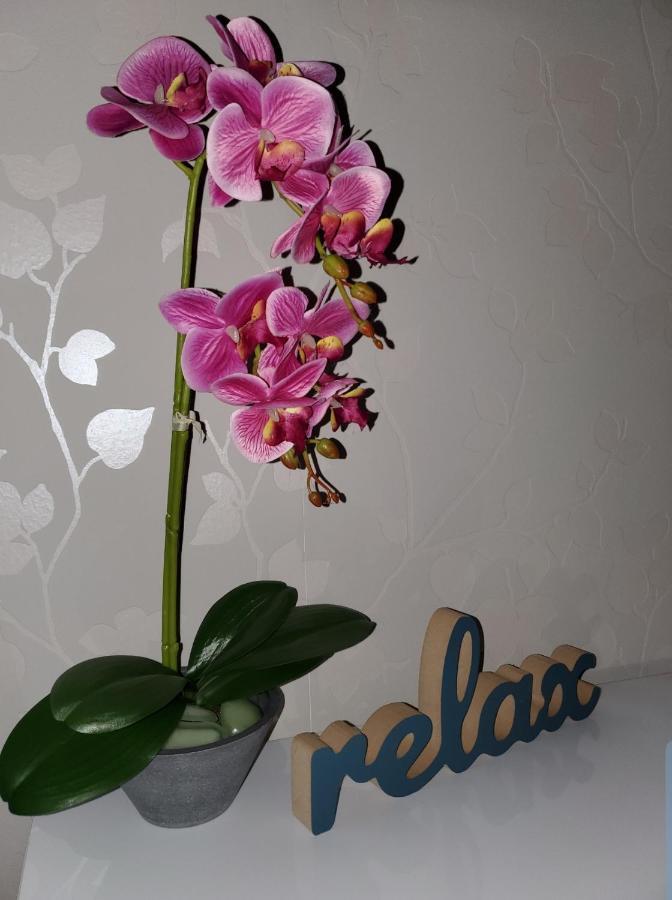 Zlatibor Hills Royal Apartman Kültér fotó