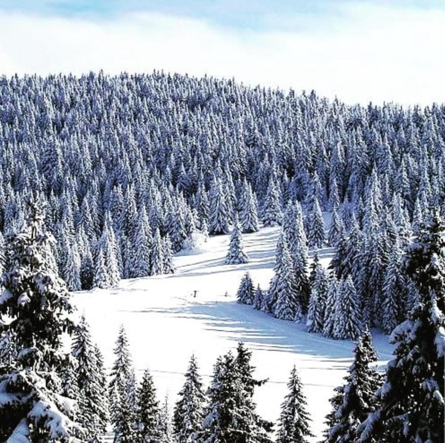 Zlatibor Hills Royal Apartman Kültér fotó