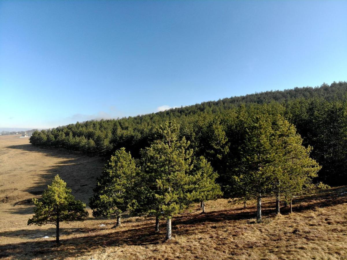 Zlatibor Hills Royal Apartman Kültér fotó