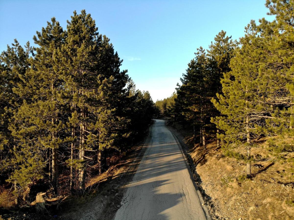 Zlatibor Hills Royal Apartman Kültér fotó