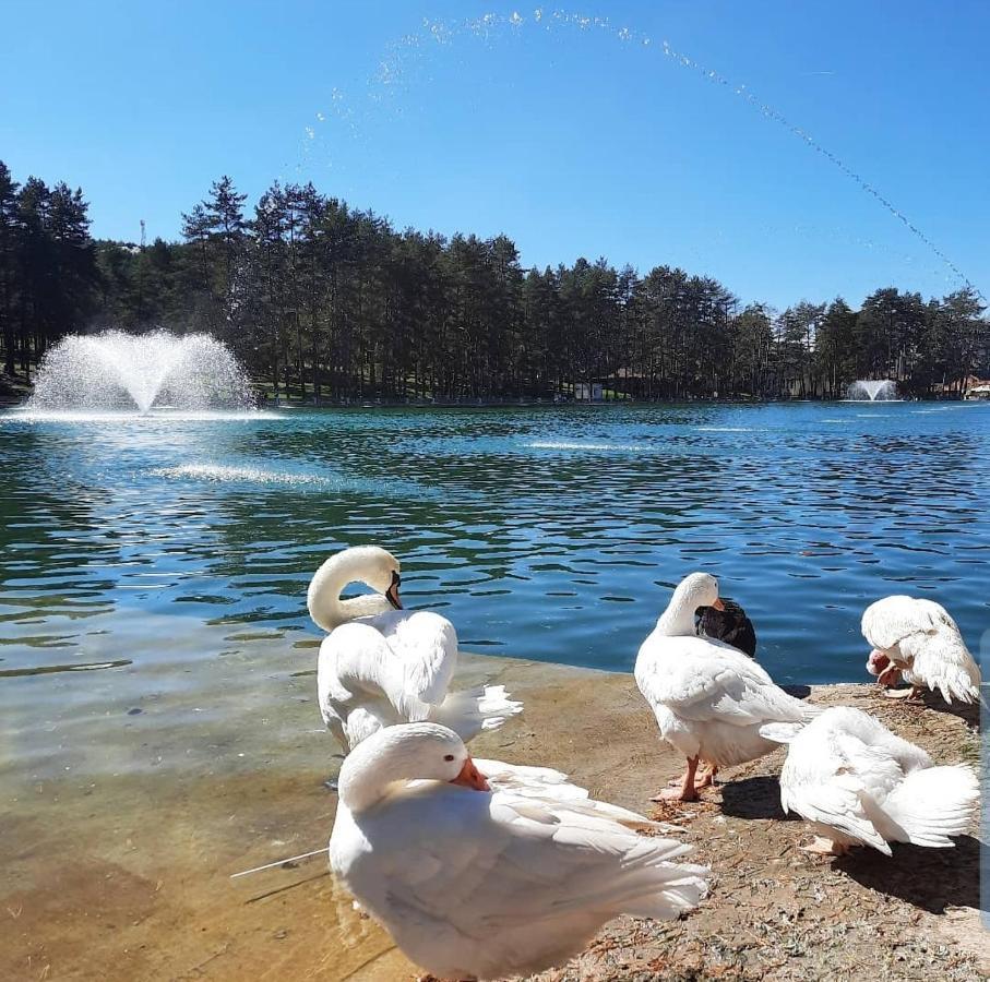 Zlatibor Hills Royal Apartman Kültér fotó